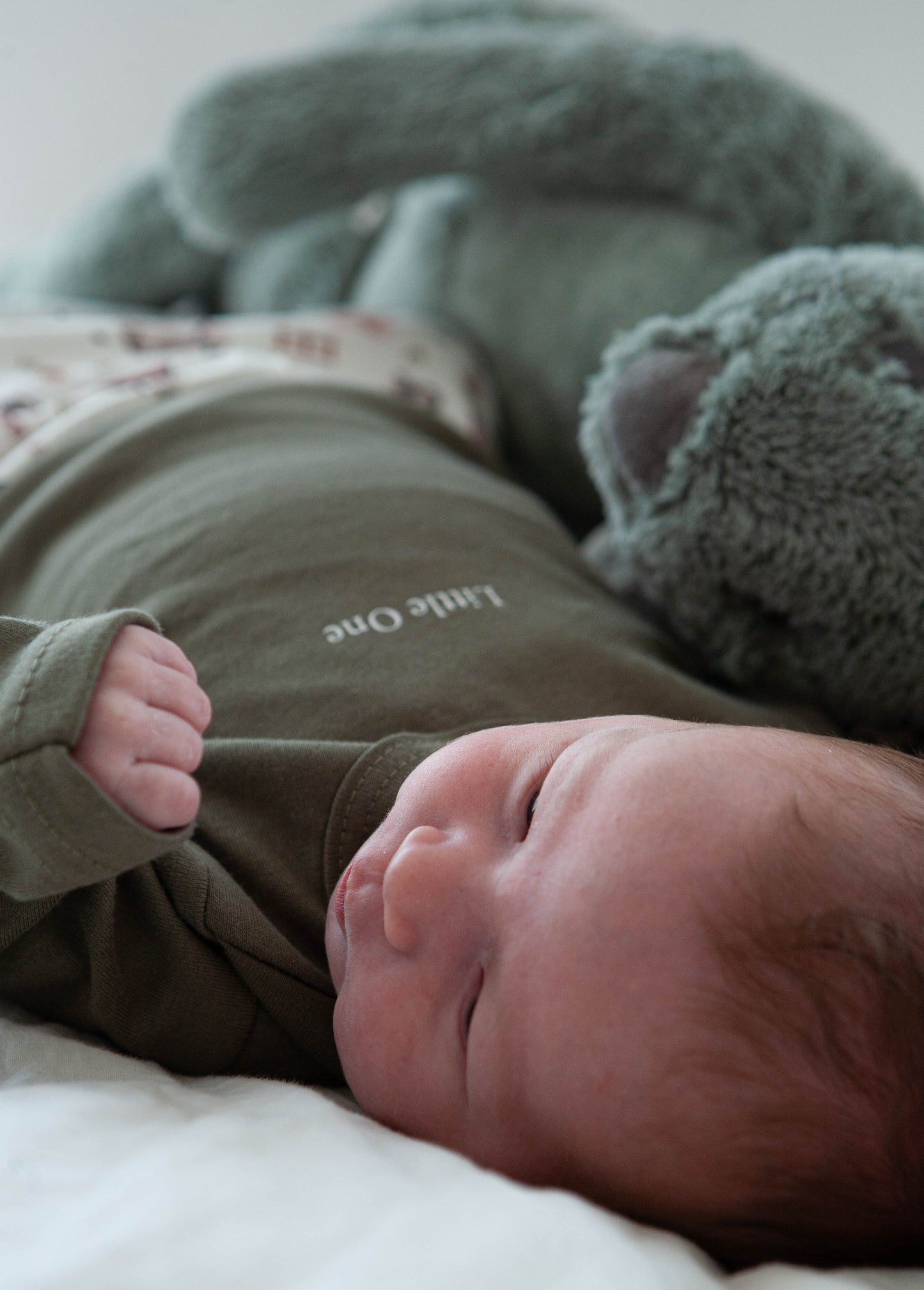 Angebotsset Bauernhoftiere