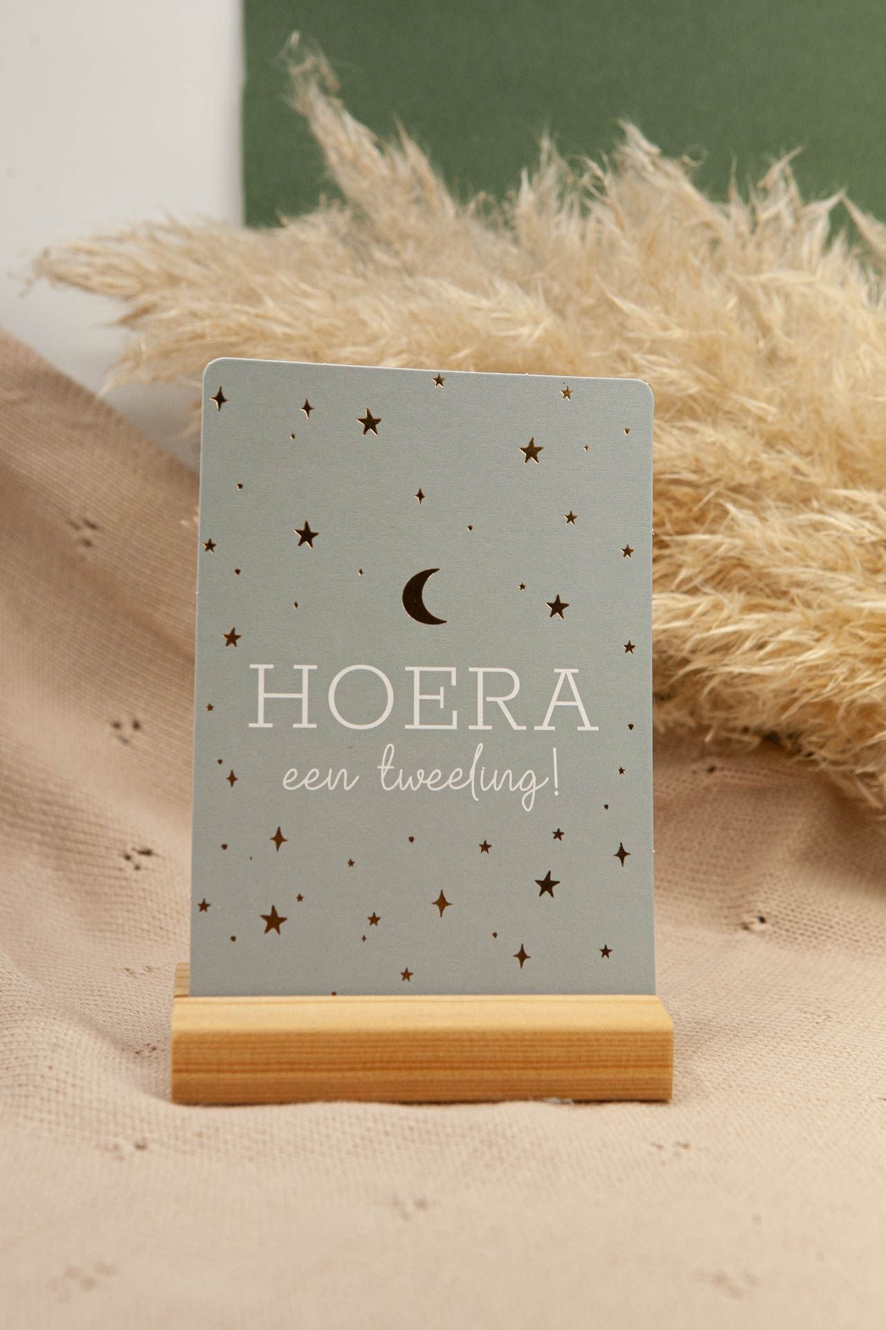 Card: Hooray, twins!