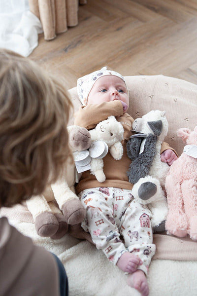 Angebotsset Bauernhoftiere