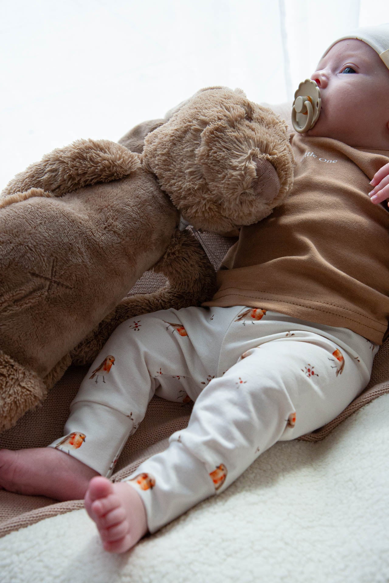 Angebot Hasenset 🐰