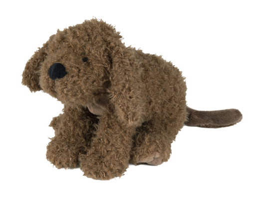 Labradoodle Larry Nr. 1