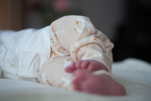 Baby rib goose hat