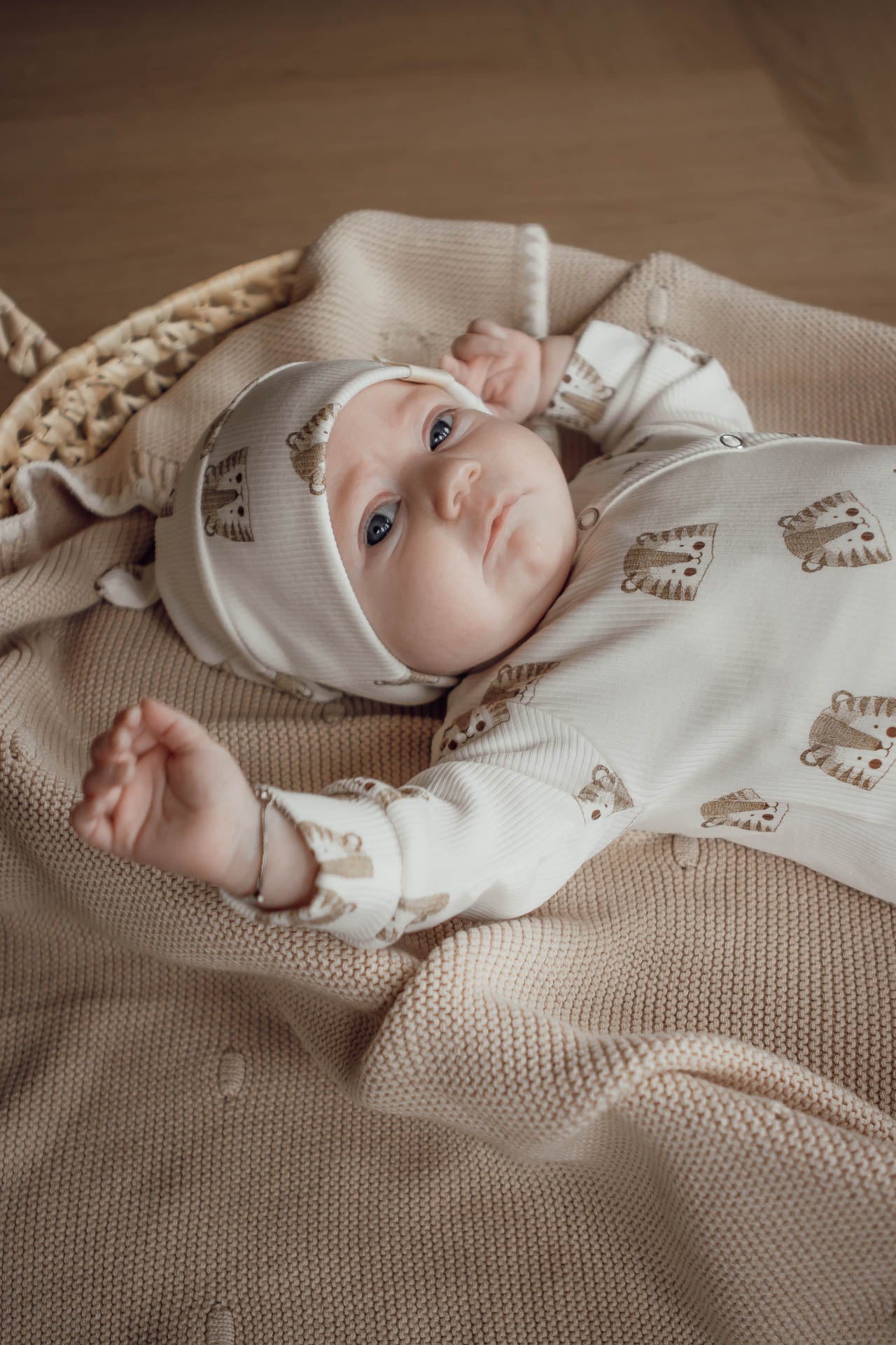 Boxpakje baby rib leeuwtjes