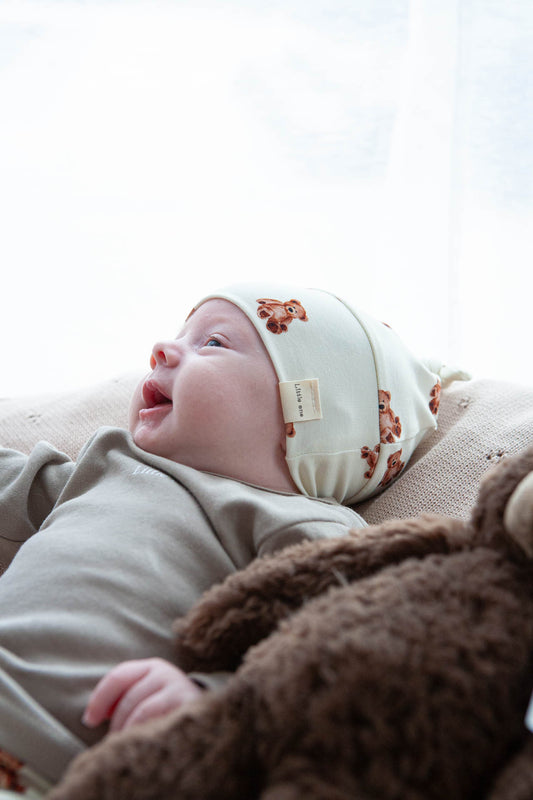 Angebot Hasenset 🐰