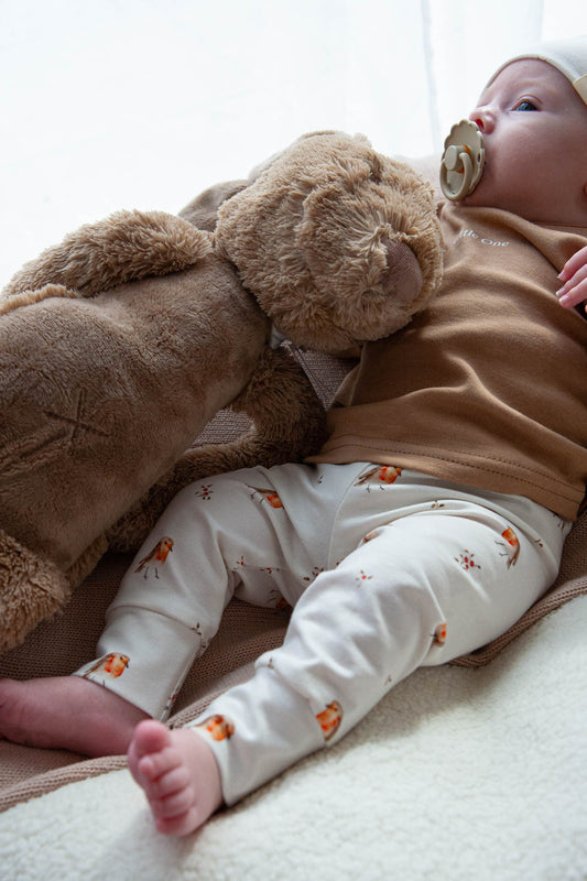 Angebot Hasenset 🐰