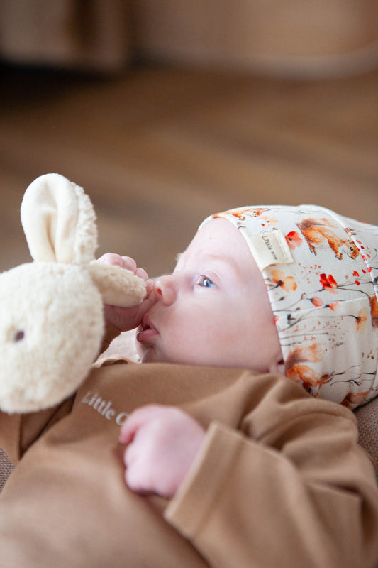 Angebot Hasenset 🐰